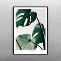 Monstera plakat soveværelse